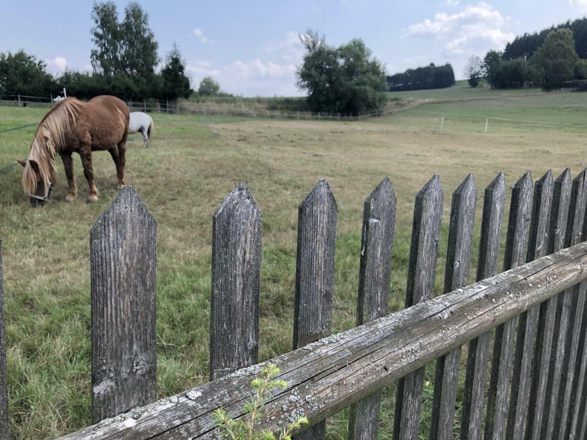 Ferienwohnung Landidyll Saalburg Exteriér fotografie